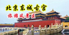 操女子嫩逼频网站中国北京-东城古宫旅游风景区